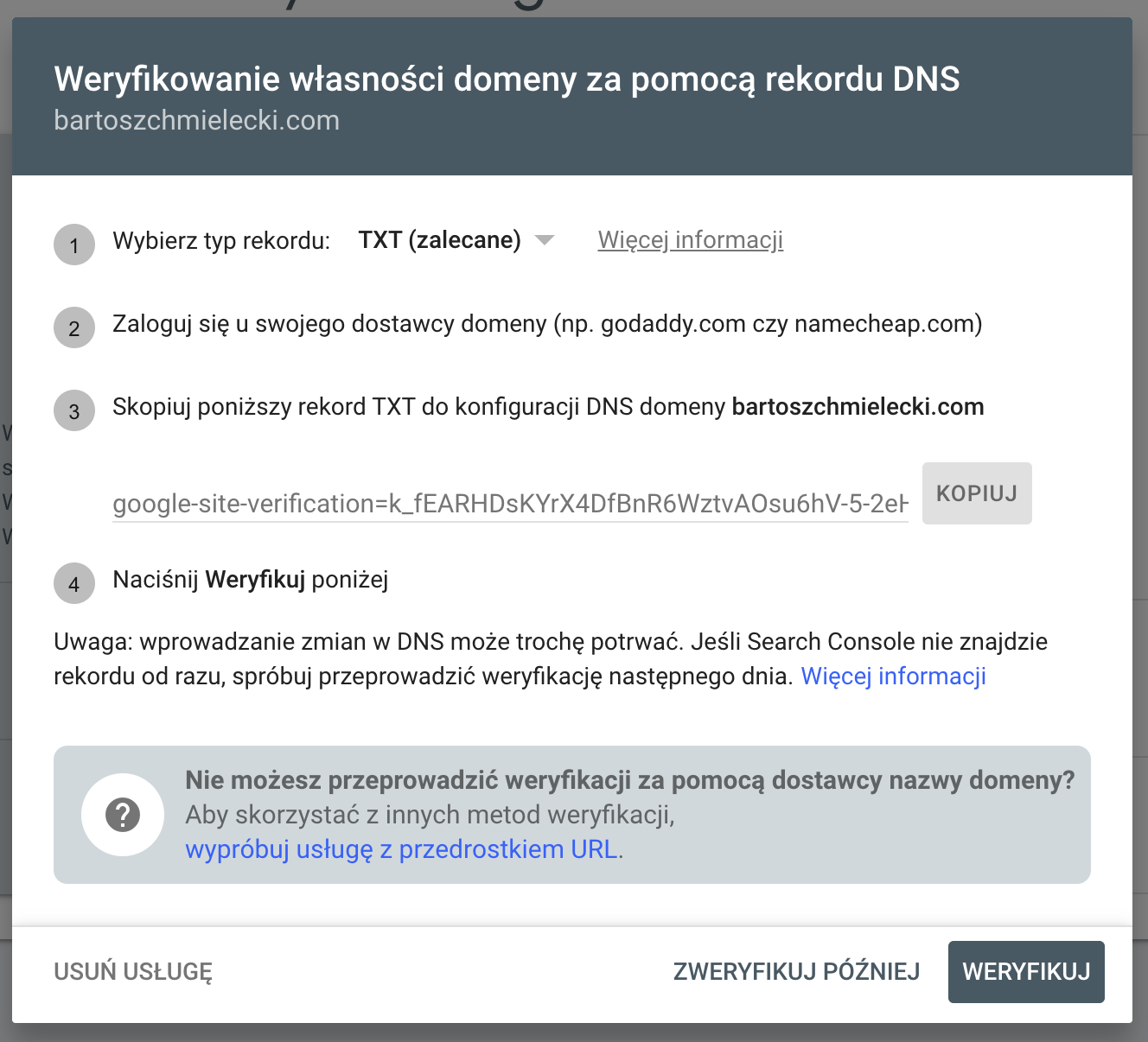 Kopiowanie rekordu TXT do weryfikacji domeny