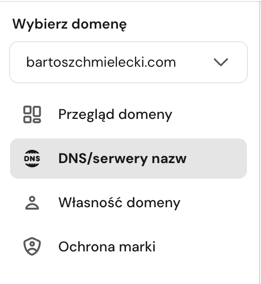 Wybór opcji zarządzania strefą DNS